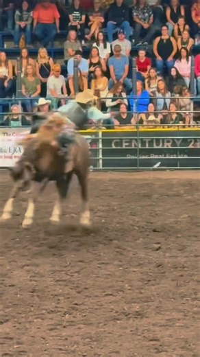 21K views · 525 reactions | This young fella just entered one of our jackpots. He never told me that he had never been on a bucking horse before. I often wondered if he would survive long enough to become a bronc rider. Watch for him at your local events I think he might just go somewhere in this sport. | Rugged Rodeo Inc | Facebook