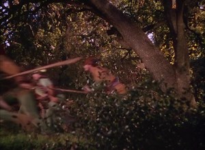 5.9K views · 82 reactions | Olivia de Havilland, Errol Flynn y Basil Rathbone protagonizan «The adventures of Robin Hood / Robin de los bosques». Dirigida por Michael Curtiz y William Keighley. (1938) | Cine Heaven | Facebook