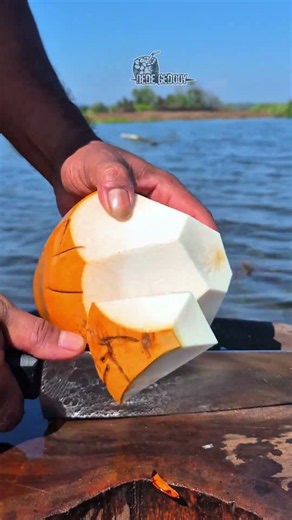 Satisfaying how to peel a coconut