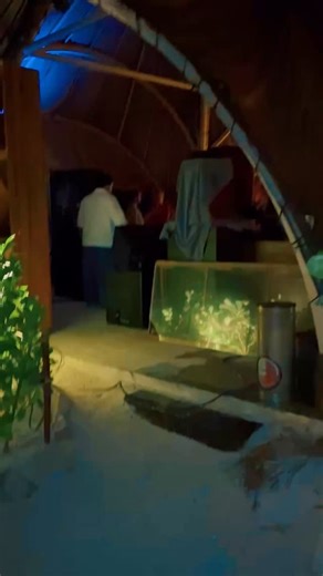 When I pull up to the FUNction!! 🌜🌚🌛 | Savannah Peterson