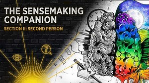 The Sensemaking Companion: Section II