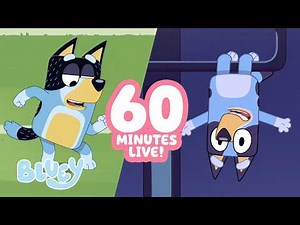 🔴LIVE: Bandit Plays Football! 🏈 | Fruitbat Bluey Clip + 1 HOUR ✨ | Bluey