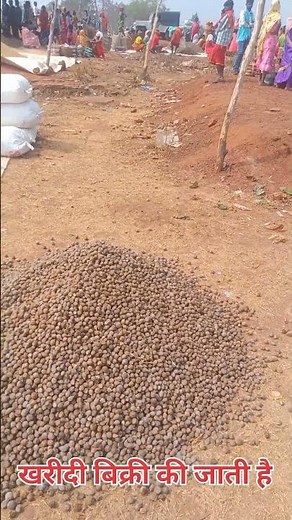 Baster ke Bajar me aaj bhi harra bahara aur kosra bikta Hai.