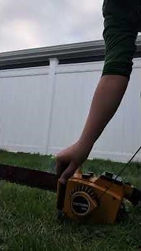 New saw Craftsman 1.8a or echo cs302