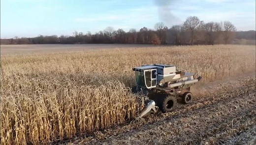 Harvesting Corn with the M3 Gleaner