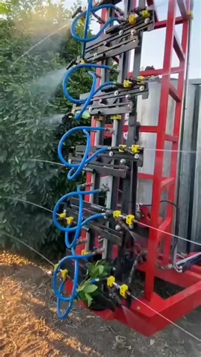 Innovative Irrigation System for Sustainable Gardening