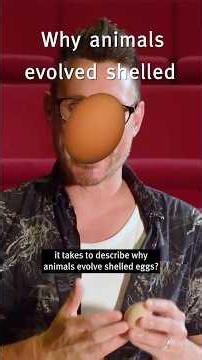 Why did animals evolve shelled eggs? A Zoologist explains #shorts #science #eggs #chickenandegg