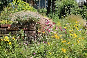 Vielfalt im Garten - NABU