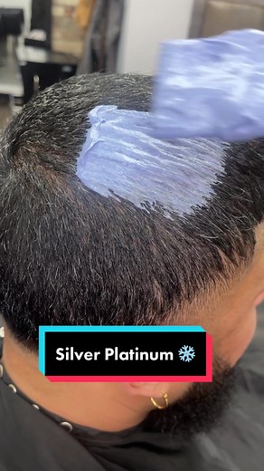 Metallic Silver Hair ❄️❄️ #platinumhair #silverhair #hairtutorial #hairtok #hair #fyp #foryoupage #platinum #hairvideos #tampa #hairtranformation #menshair #barber #hairstylist #haircolor #hairstyle