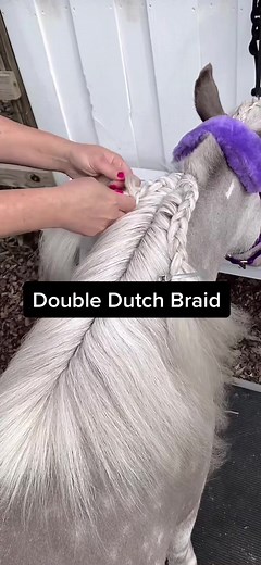Double Dutch Braid Tutorial for Mini Horse Mane