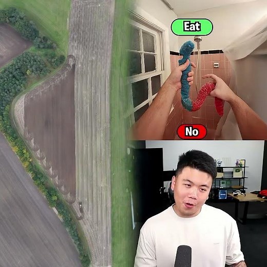 #illustration #tattoo #art #pov #procreate #drawing #whydidntmyexcomeback #digitalart