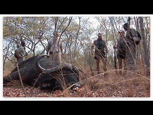 Bygone safaris 9 BRILLIANT ELEPHANT AND HIPPO HUNTING