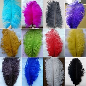 OSTRICH Feather PLUMES 10"-18" in Many Various Colors for Centerpieces Craft Home Decor Design DIY - Etsy