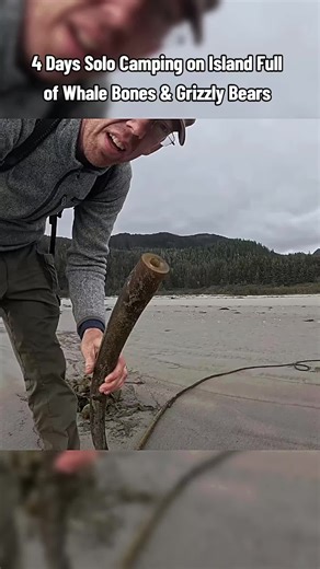 Solo Camping Adventure with Grizzly Bears in Alaska