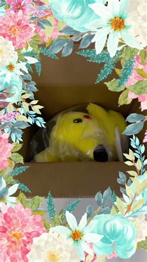The 30th anniversary Pokemon Chonkachu have arrived! #pokemon #pikachu