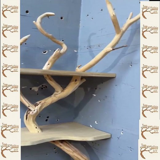 Corner Floor Bookshelf Decor Made from Natural Tree Branch Wood