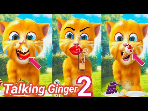 Talking Ginger 2 🙀 FUNNY cartoon 🤣🤣 | talking ginger cat | ginger 2 game | ginger 2 |