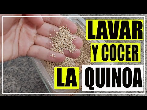 🌱 PASO A PASO Como lavar y cocer la QUINOA 🌱 Como se cocina la Quinoa 🌱 Quinua como cocinarla