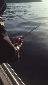 The sound of a Shimano Tekota 600 | Rapala