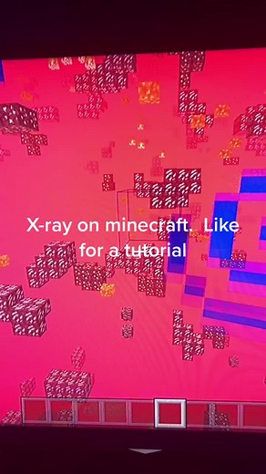 #minecraft #fyp #xray