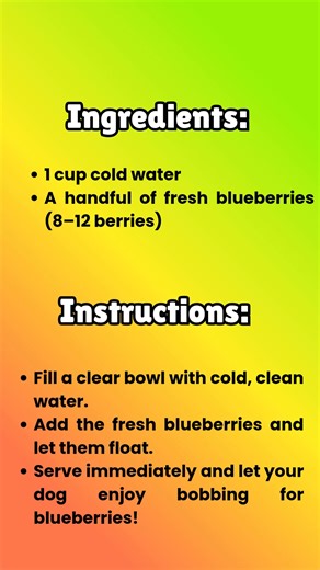 Blueberry Splash Water for Dogs Ingredients: 1 cup cold water A handful of fresh blueberries (8–12 berries) Instructions: Fill a clear bowl with cold, clean water. Add the fresh blueberries and let them float. Serve immediately and let your dog enjoy bobbing for blueberries! | Homemade Dog Food Recipes