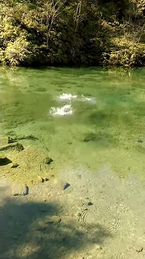 池に小石を投げて、波紋をつくる