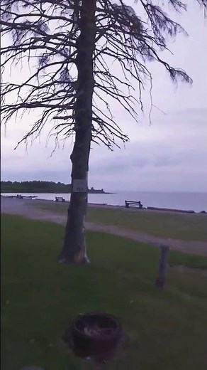 Epic Oceanside Campsite on Chaleur Bay | North Shore New Brunswick #Shorts