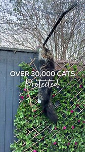 94 reactions | Enjoy world-class cat care that provides a safe outdoor space for your cat and peace of mind for you.  Klarna Pay Available  Fast Delivery On DIY Products  Nationwide Installation Service Shop now and give your cat the protection they deserve! | ProtectaPet | Facebook