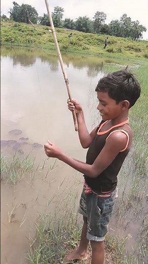 machhari Marne ka tarika! machhali video! machhali short video