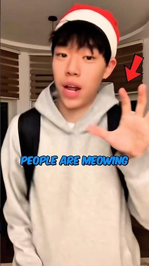 What is the meaning of the Meow Meow trend!? 🙀😱#yt #shorts