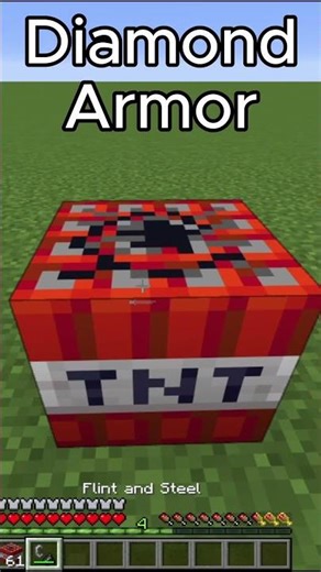 Which Armor Can Survive A Tnt In Minecraft???