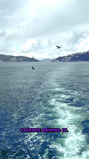 97% Don't Know | Fast Weather Forecasts | Secret Science