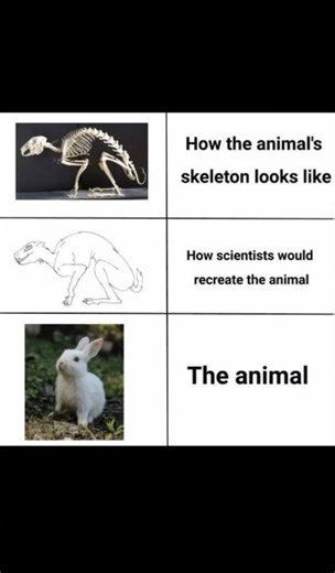 basically just a funny meme upload