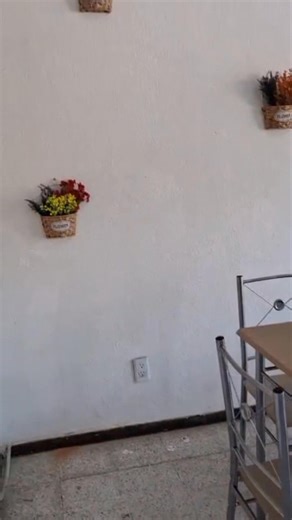 34K views · 171 reactions |  ¡Bienvenidos a La Casa De Carlos! ...