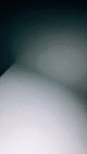 10K views · 563 reactions | All audacity must go! | Petty Picasso | Facebook