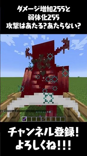 【マイクラ】ダメージ増加255と弱体化255攻撃はあたる？あたらない？【マインクラフト・まいくら】#Shorts