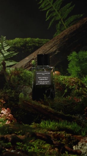 Guided by the spirit of Bois Impérial Collector’s Edition, the forest turns imperial at Essential Parfums, unveiling a banquet of scented delights. Discover the Christmas Edit... | Essential Parfums | Facebook