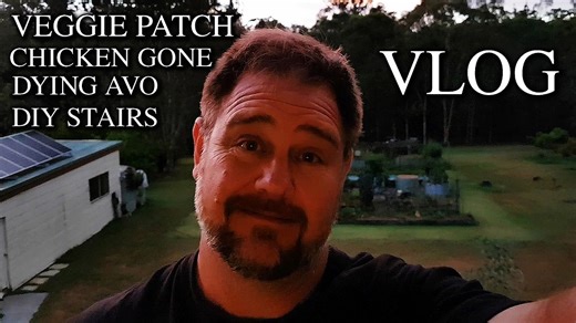 Homestead life: Planting Asian veggies, caring for chickens & DIY projects | Self Sufficient Me