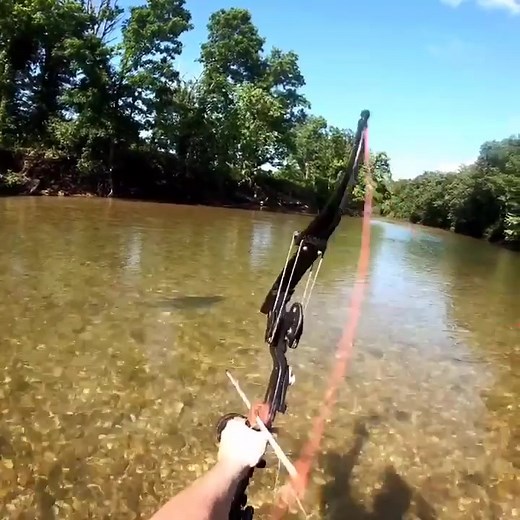Bowfishing Adventures: Techniques and Tips for Catching Gar