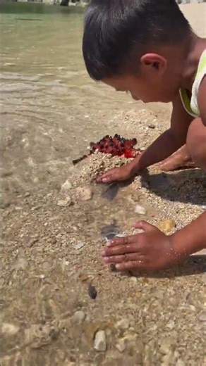 Sea Sand Fish Shock 😱😱😱