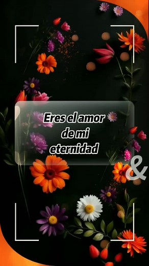 Eres el Amor de Mi Eternidad: Frases de Amor Eterno y Promesas de Amor Infinito