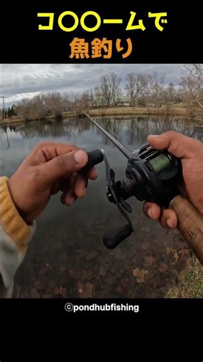 コ〇〇ームで魚釣り