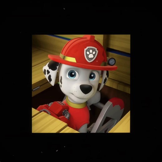 Paw Patrol: Marshall's Adventures