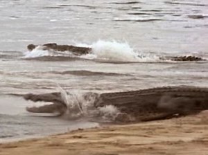 2x16 Cool Hand Darien Невозмутимый Дериан