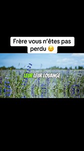 1.1K views · 70 reactions | Lien WhatsApp : https://whatsapp.com/channel/0029VaChPzeKmCPGvviKZ13g Télécharger l'application "Message Radio FM" (Android ) sur : https://play.google.com/store/apps/details?id=radiotcl.apk Suivre le message biblique du temps de la fin sous format web sur : https://www.messagebibliquedutempsdelafin.com | 푴풆풔풔풂품풆 푩풊풃풍풊풒풖풆 푫풖 푻풆풎풑풔 푫풆 푳풂 푭풊풏 | Facebook