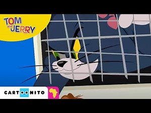 Tom and Jerry at the Airport | Cartoonito Africa