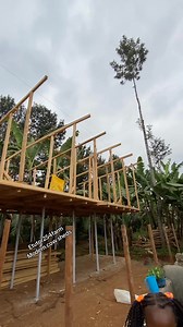 6K views · 33 reactions |  Before building a cow shed, consider these key factors: ✔️ Proper ventilation for fresh air ✔️ Enough space per cow ✔️ Good drainage and slope ✔️ Durable roofing for shade and protection ✔️ Easy cleaning and waste management A well-planned shed keeps cows healthy and boosts milk production. | Etutor254farm | Facebook