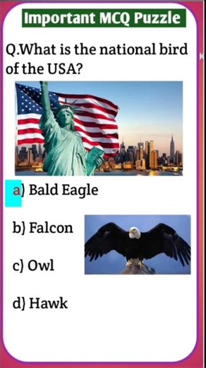 USA Quiz Challenge: Test Your Knowledge with These Questions! #usa #usashorts #usaquiz #usafacts