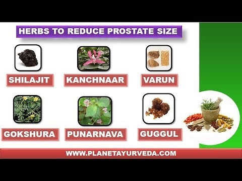 Herbs to Reduce Prostate Size Naturally | Shrink Your Prostate Size