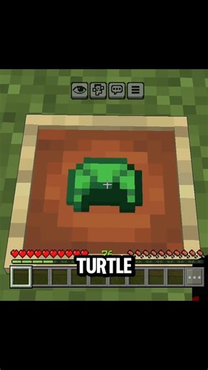 Turtle shell? But.... #minecraft #minecrafttools #bedrock #minecraftjava #viral #viralshort #fyp